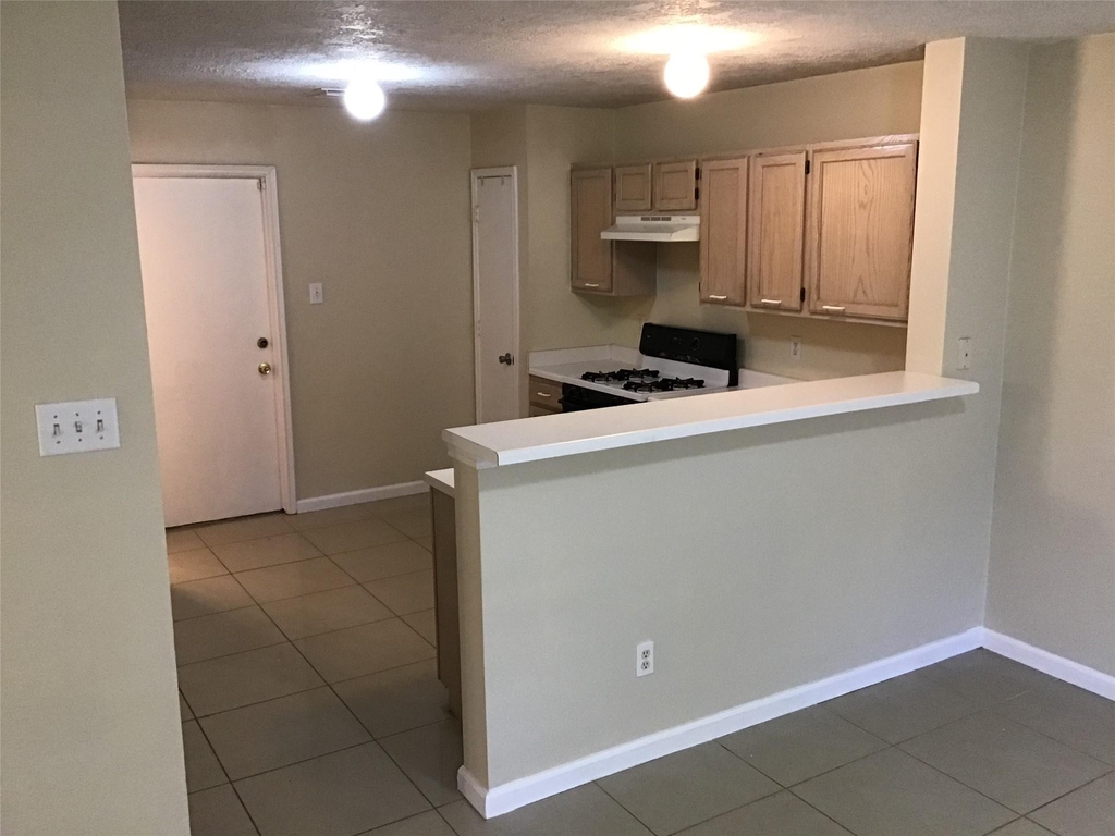 11802 Sunny Stream Drive - Photo 9