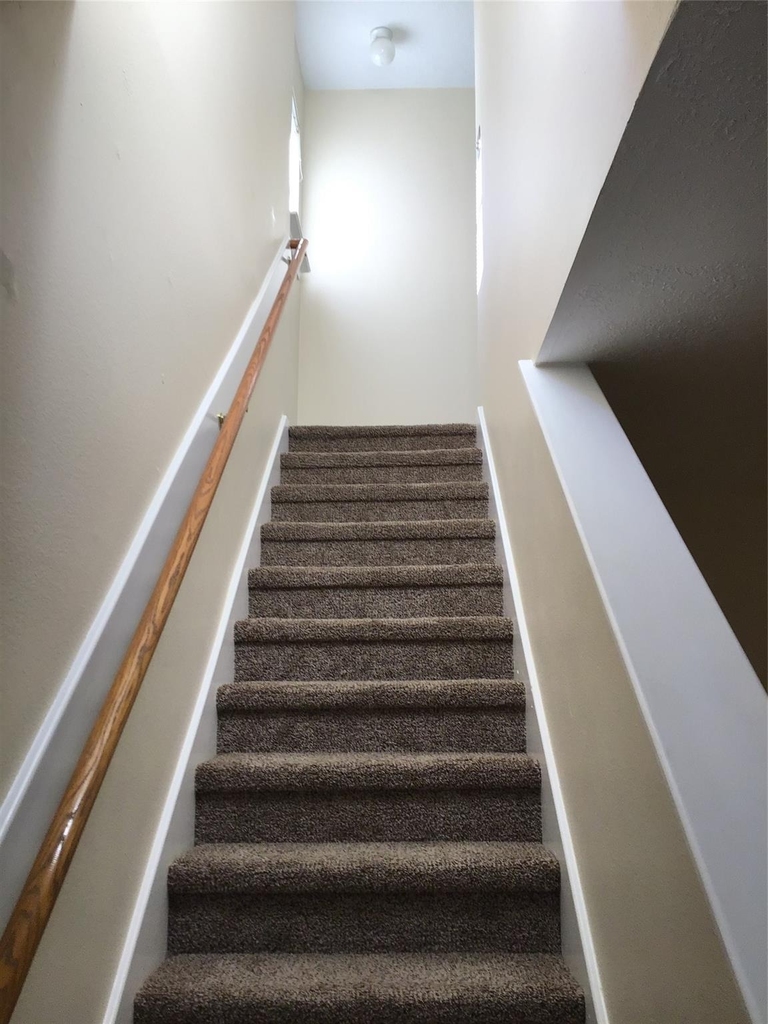 11802 Sunny Stream Drive - Photo 13
