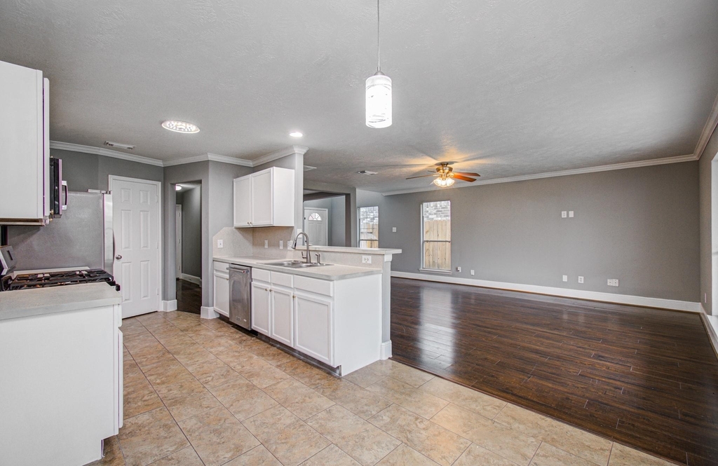 13963 Maximos Drive - Photo 14