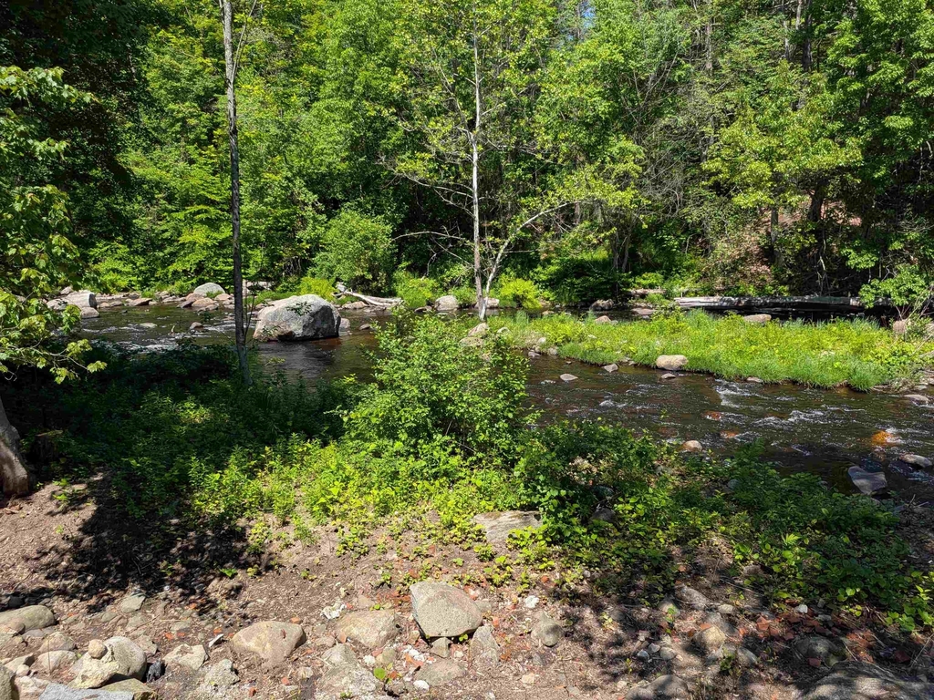 61 Island - Photo 17