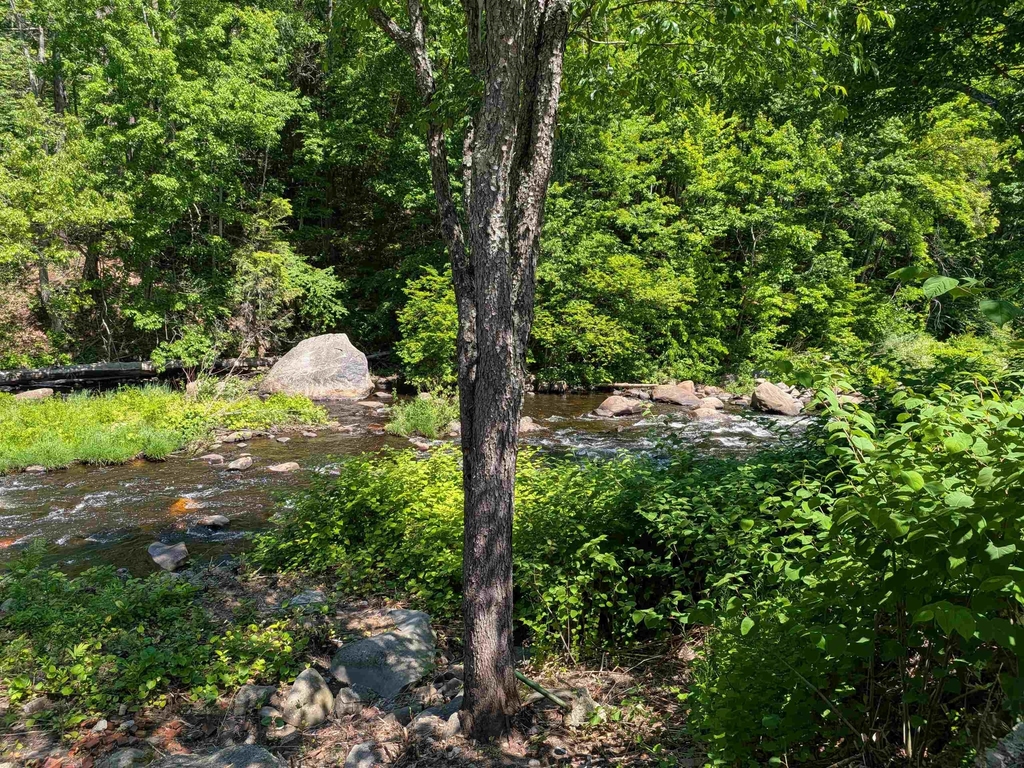 61 Island - Photo 22