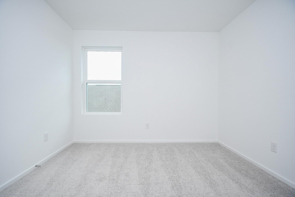26914 Rosebay Woods - Photo 14