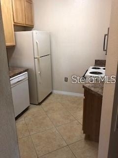 10019 Courtney Palms Boulevard - Photo 9