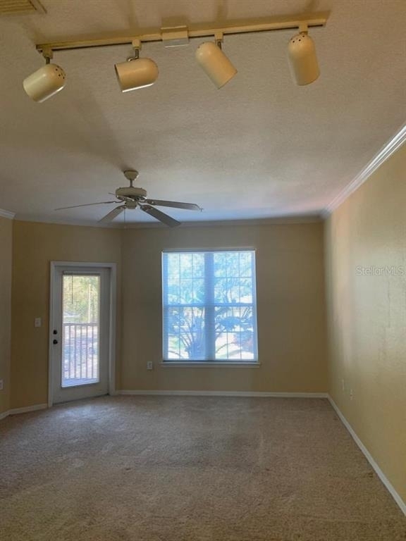 10019 Courtney Palms Boulevard - Photo 8