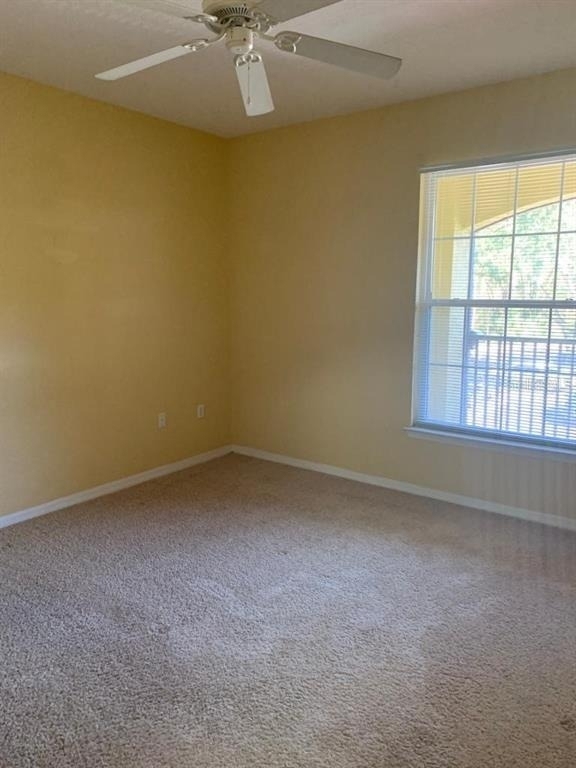 10019 Courtney Palms Boulevard - Photo 12