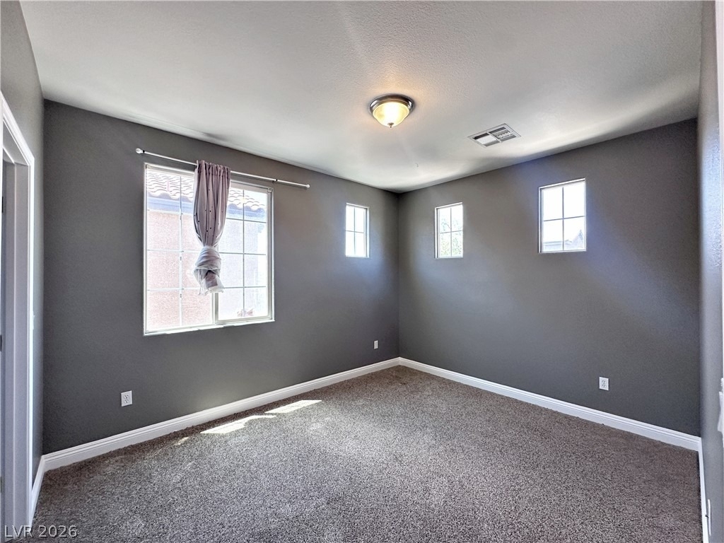 10076 Bright Charisma Court - Photo 15