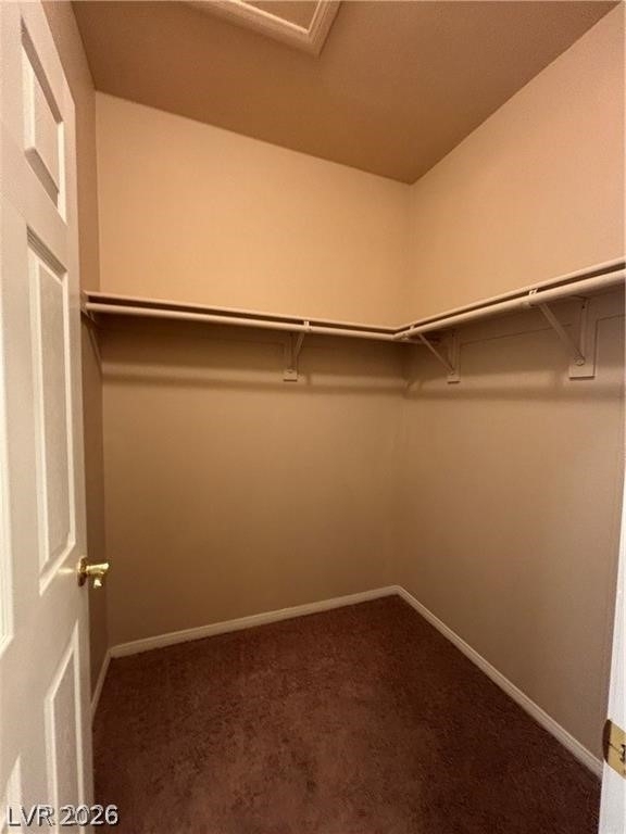 3805 Juno Beach Street - Photo 13