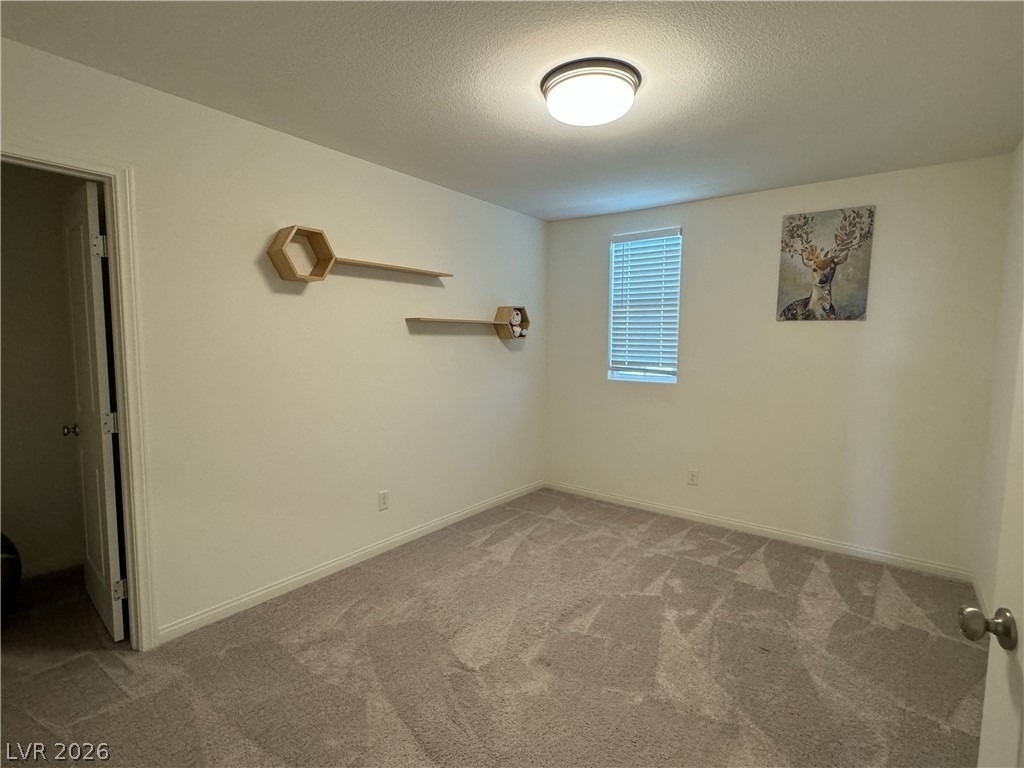 4218 Tarim Street - Photo 15
