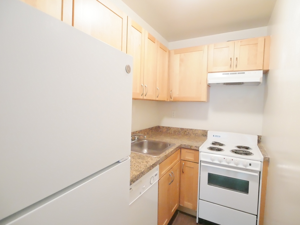 423 East 90th Street - Photo 3