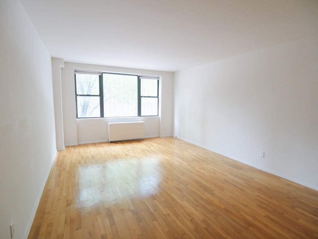 423 East 90th Street - Photo 1
