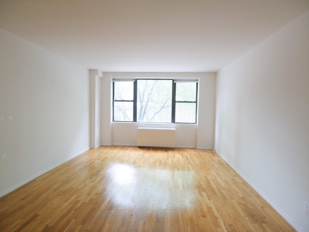 423 East 90th Street - Photo 5