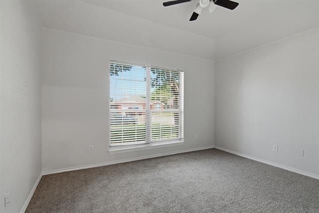 6317 Rockhaven Drive - Photo 19