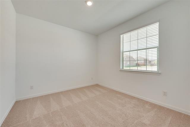 1109 Sassafras Drive - Photo 11