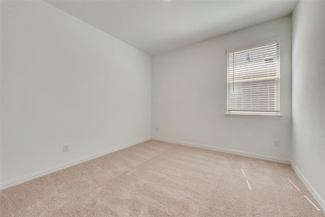 1109 Sassafras Drive - Photo 13