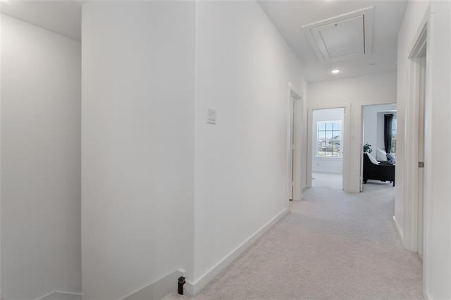 4881 Ellie Lane - Photo 10