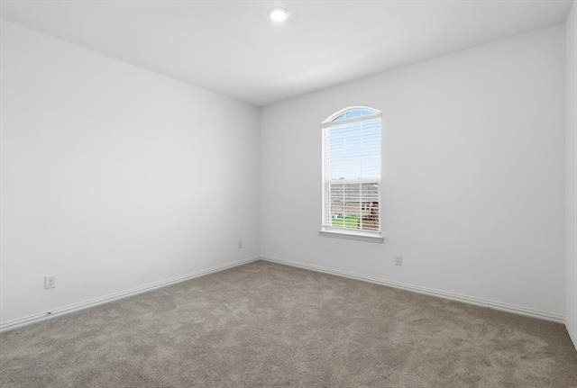 8309 Gray Squirrel Lane - Photo 7