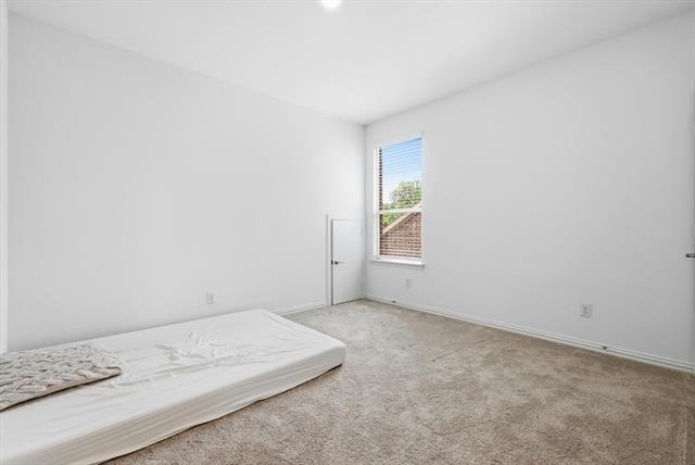 8309 Gray Squirrel Lane - Photo 10