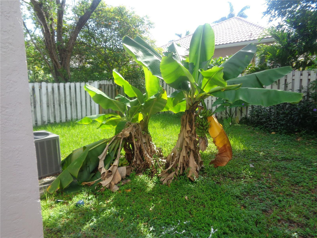 10939 W Broward Boulevard - Photo 3