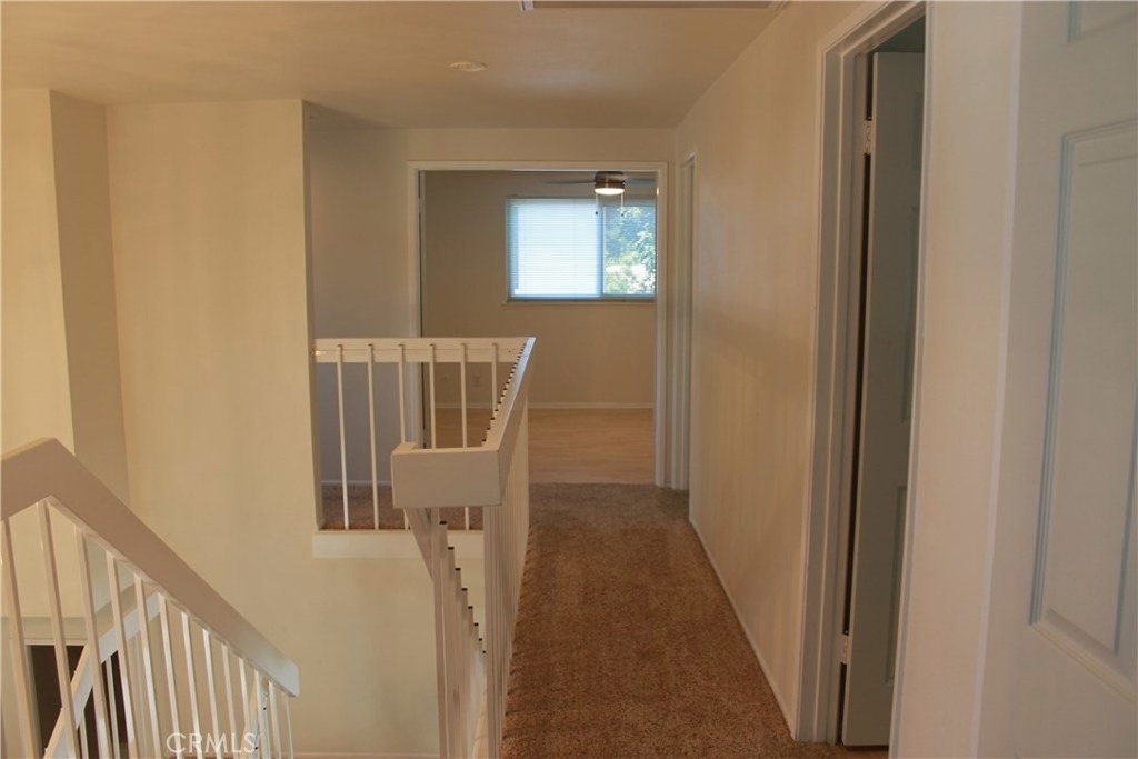 3881 Hendrix Street - Photo 43