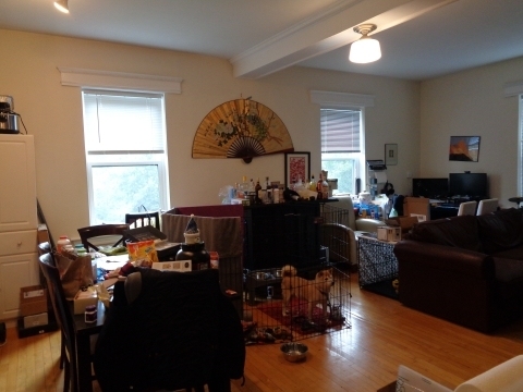 1100 Beacon St - Photo 1