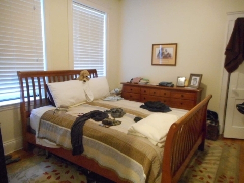 1600 Commonwealth Ave - Photo 1