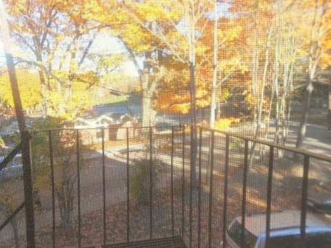 0 Strathmore Rd - Photo 4