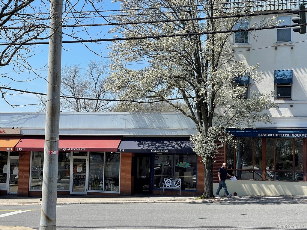 175 Woodruff Avenue - Photo 12