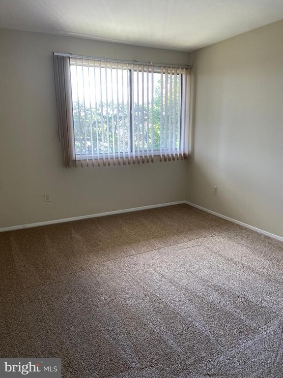 110 Birch Street - Photo 20