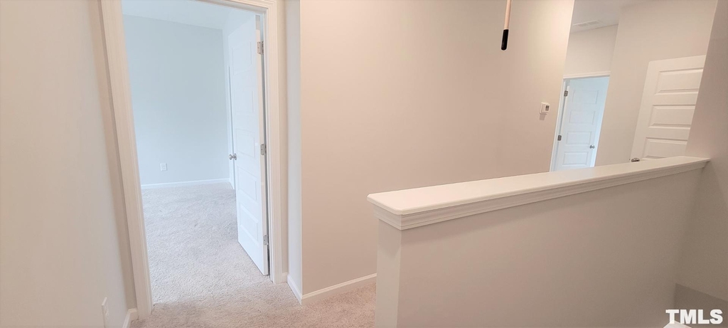 7809 Flatrock Park Drive - Photo 11