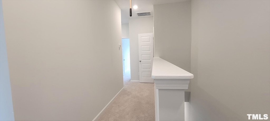7809 Flatrock Park Drive - Photo 10