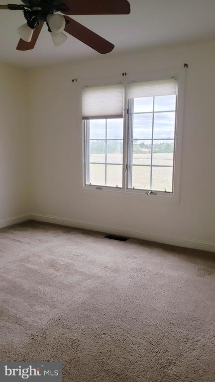 14 Hayworth Circle - Photo 17