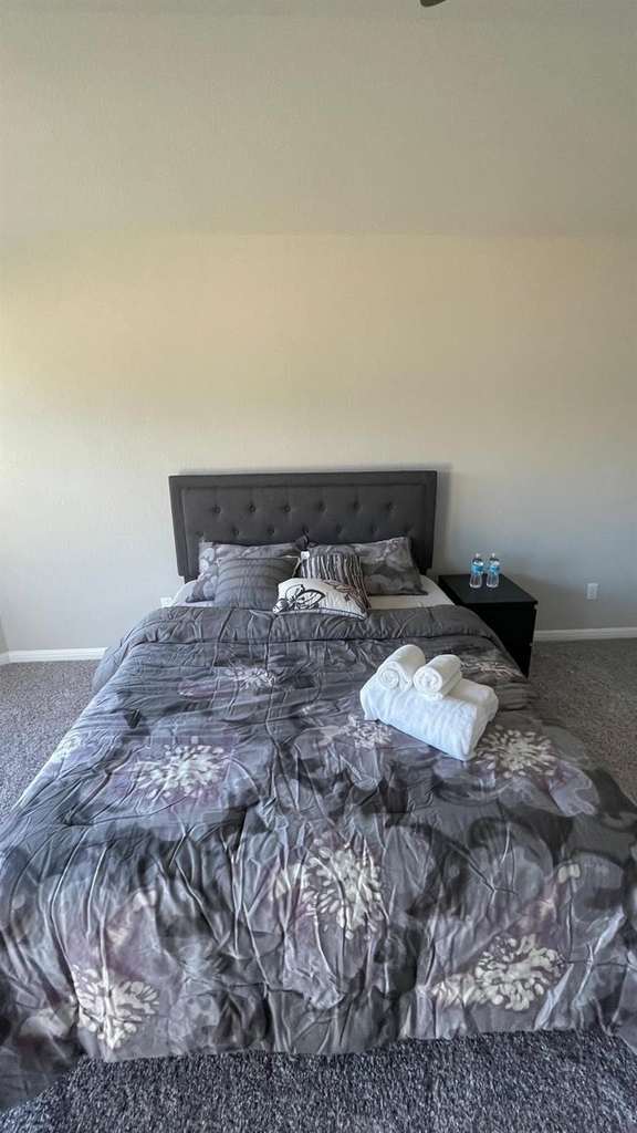 323 Durango Downs Dr - Photo 18