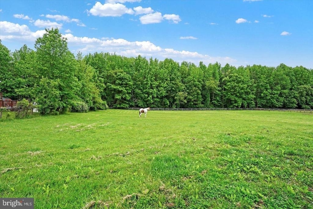 535 Nottingham Road - Photo 14