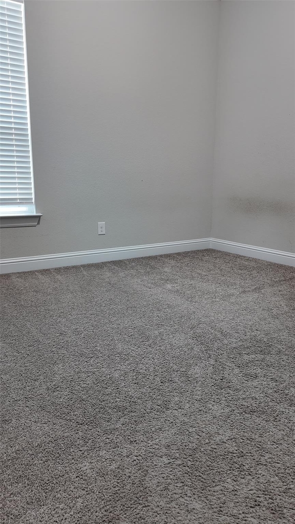 2320 Base Burner Path - Photo 11