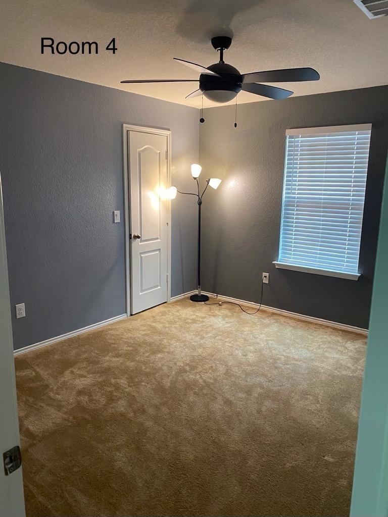 700 Screech Owl Dr - Photo 12