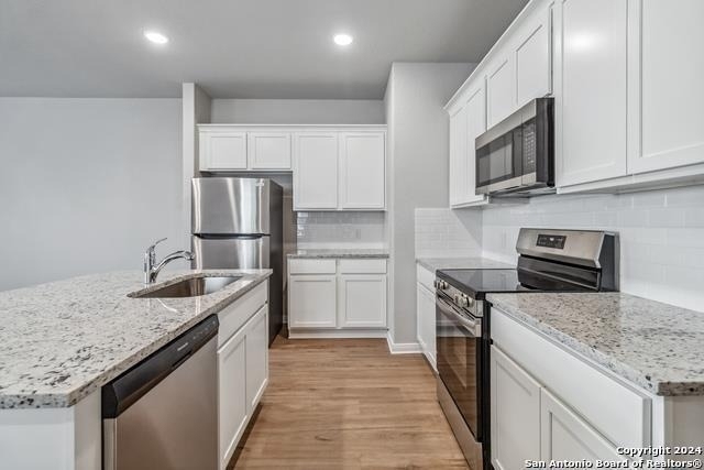 3921 Abbott Pass - Photo 3
