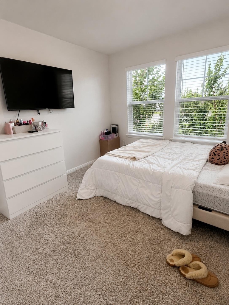 101 Javans Nest - Photo 8