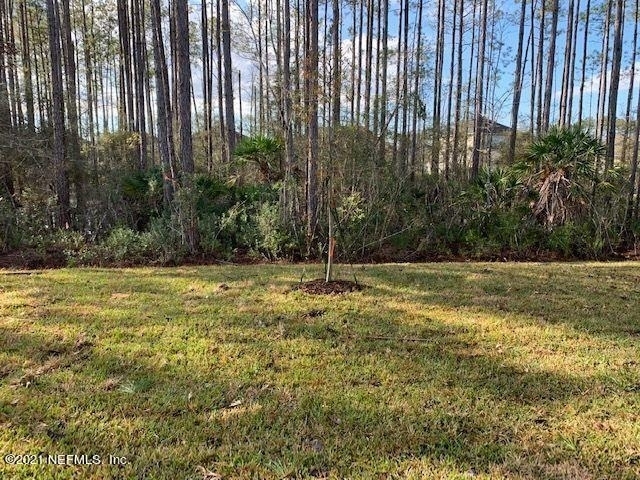199 Scotch Pebble Drive - Photo 13