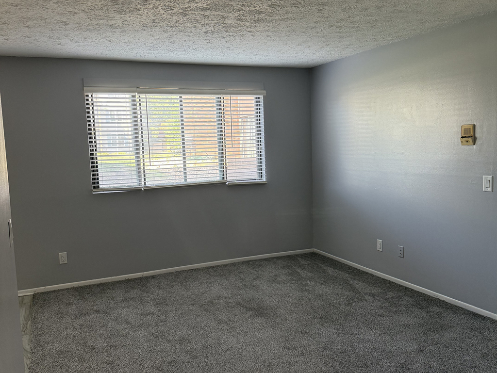 3405 Holiday Court - Photo 2