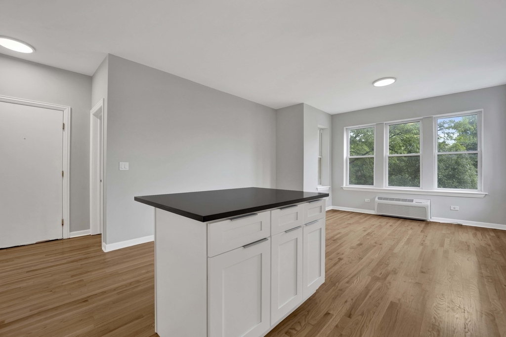 2456 N Hamlin Avenue - Photo 1