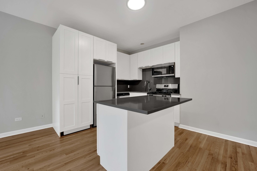 2456 N Hamlin Avenue - Photo 10