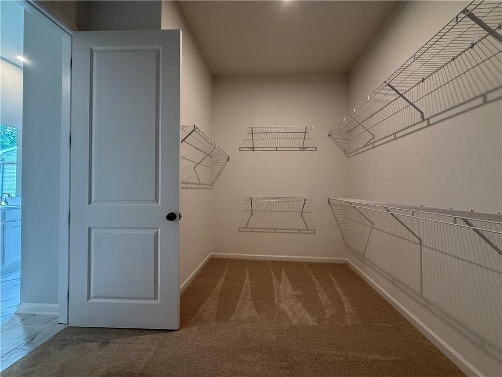 3235 Willow Glade Trail - Photo 21