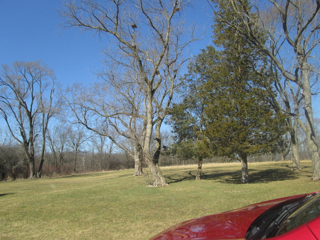 800 Brook Drive - Photo 24