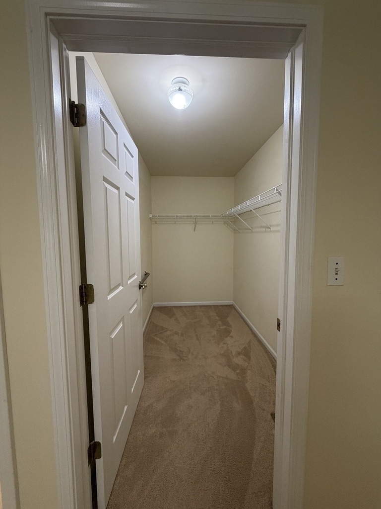2219 Waterleaf Court - Photo 16