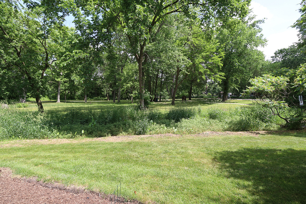 154 River Mist Drive - Photo 29
