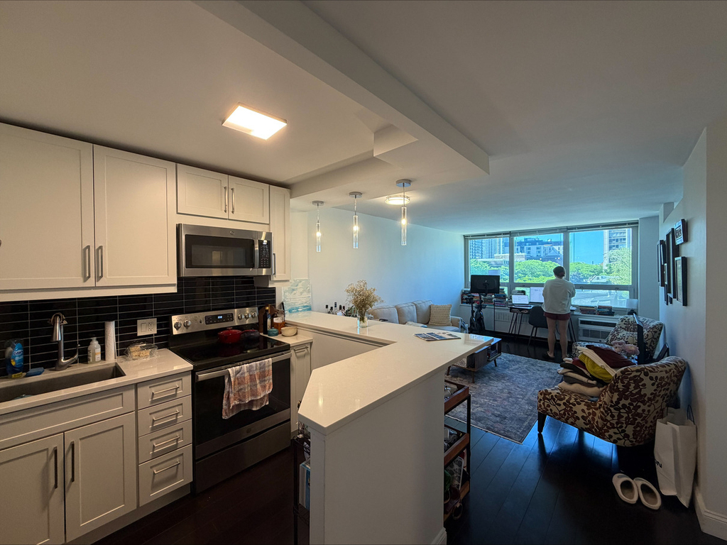 88 W Schiller Street - Photo 3