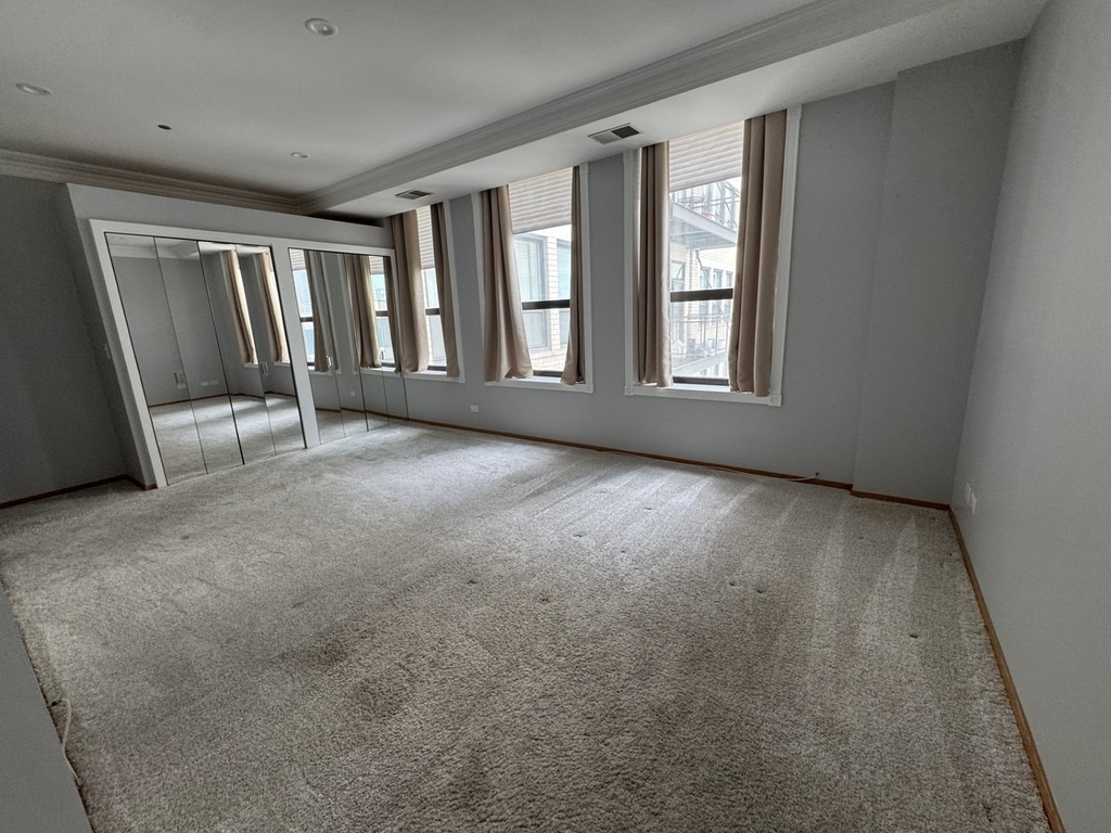 910 S Michigan Avenue - Photo 10