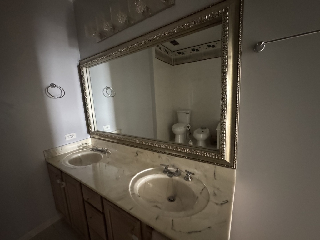 910 S Michigan Avenue - Photo 16