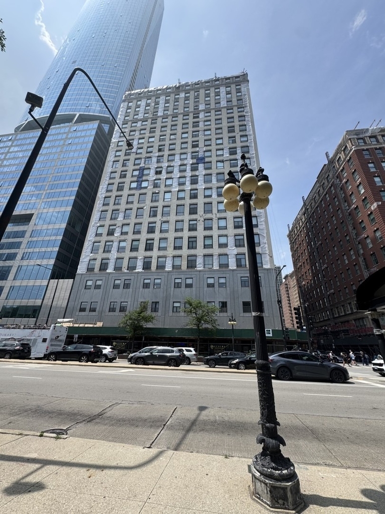 910 S Michigan Avenue - Photo 0
