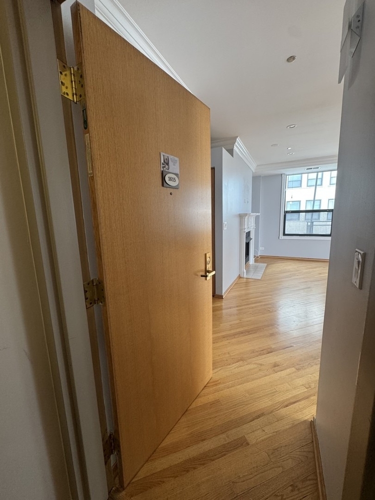 910 S Michigan Avenue - Photo 4